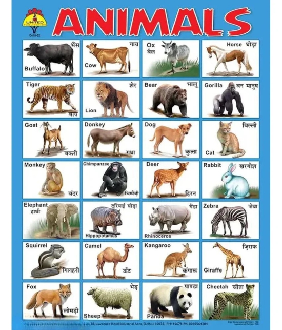 Kids Learning Chart