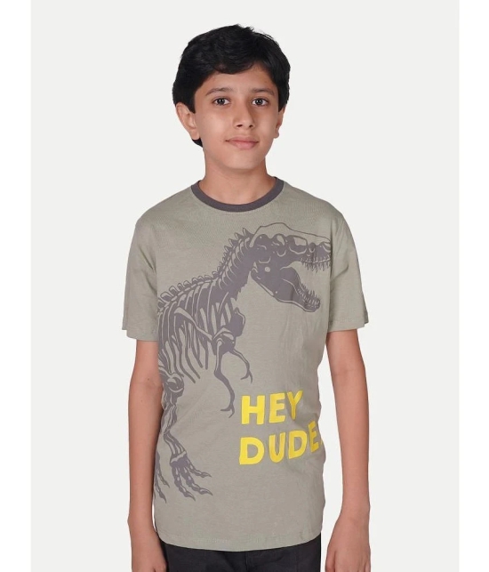 Radprix Grey Cotton Boys T-Shirt ( Pack of 1 ) - None