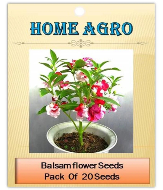 homeagro - Balsam Mixed Flower ( 20 Seeds )