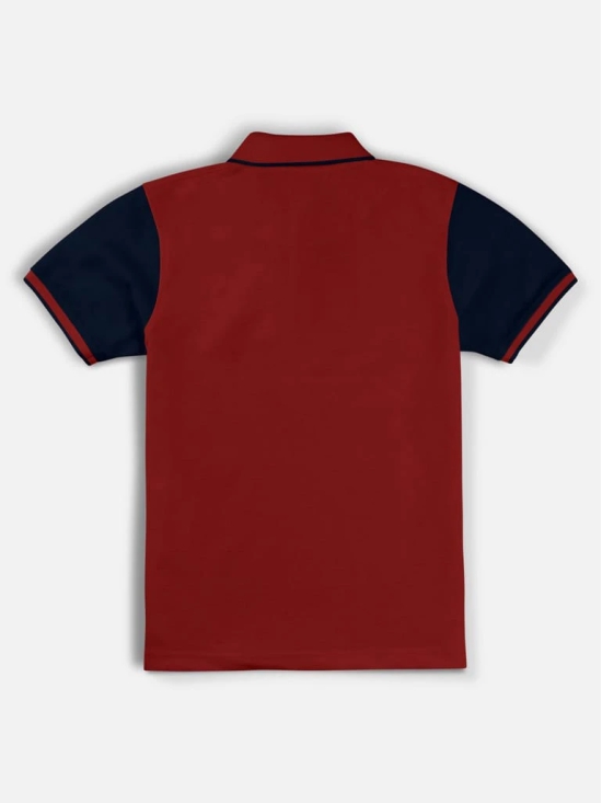 Polo Collar Neck Half Sleeve Cut & Sew Printed T-shirt for Boys