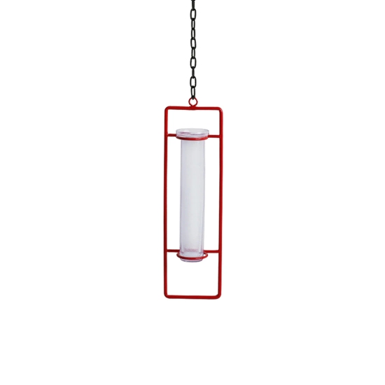 Modern Glass Garden Test Tube Hanging Planter/Vase (10 Inch, Red)