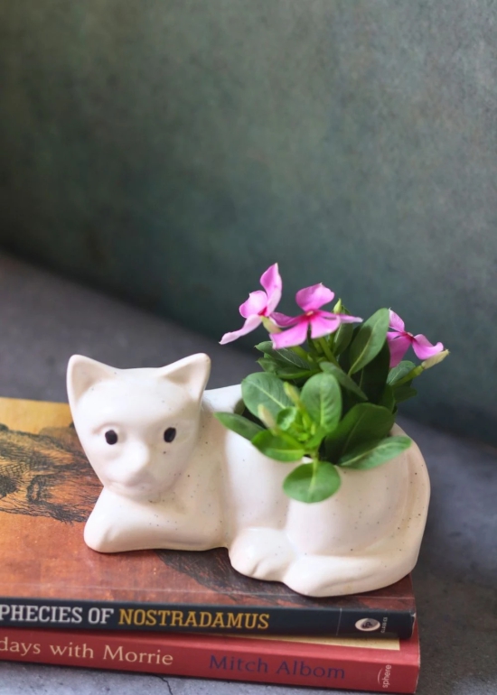 Cat Succulent Planter