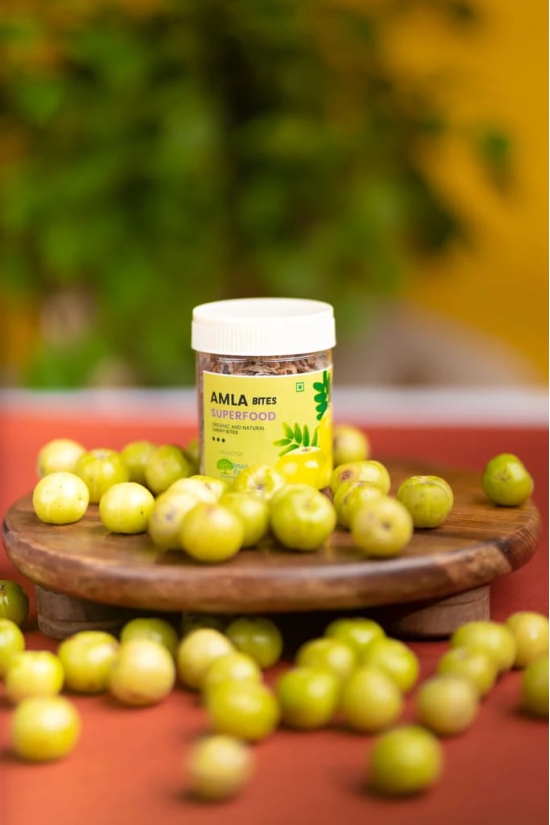 Organic Amla Salted Bites with Ginger and Lemon - Made with 100% Natural Dried Amla Grown in our Farm, No Artificial Flavors or Colors, No Preservatives 175g