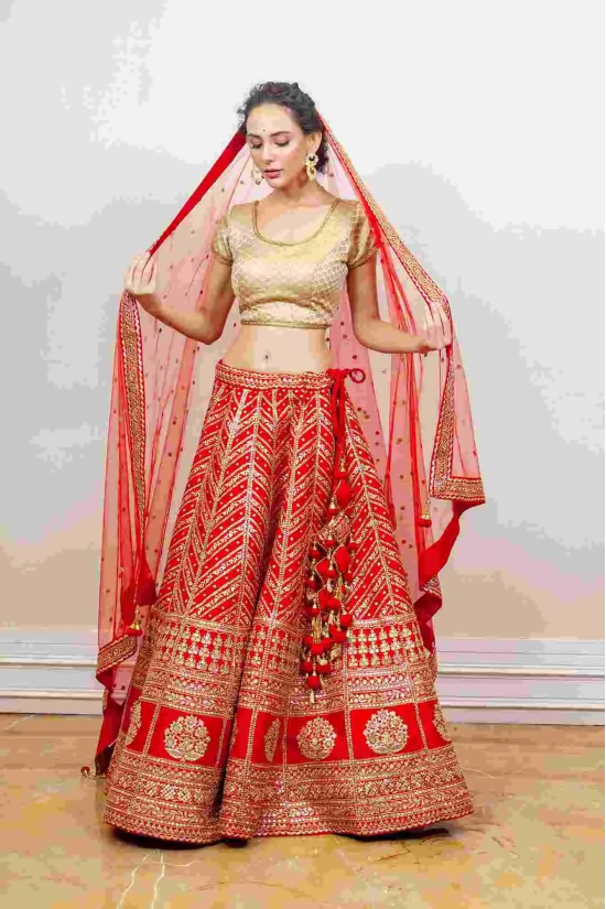 Designer Lehenga-L