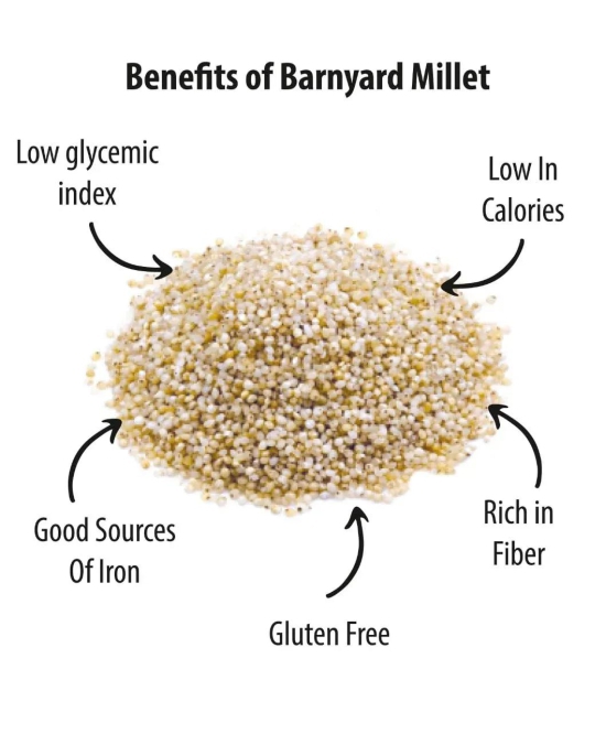 Future Foods Premium Barnyard Millet | Jhangora/Sanwa | Gluten Free | Good Source of Protein & Fiber | With More Iron & Zinc Content | Ideal for Celiac & Diabetes Patients | 450g (Pack of 3)