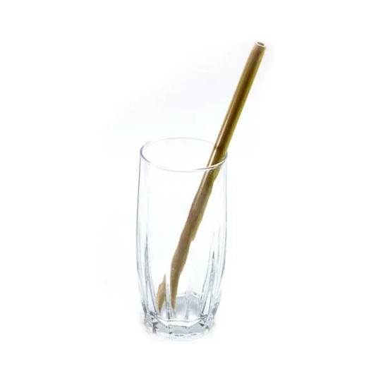 Bamboo Natural Straws (pack of 4) with cleaner