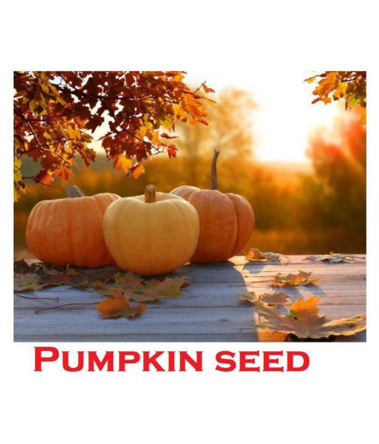 Organic Pumpkin Seeds ( 40 Seeds)