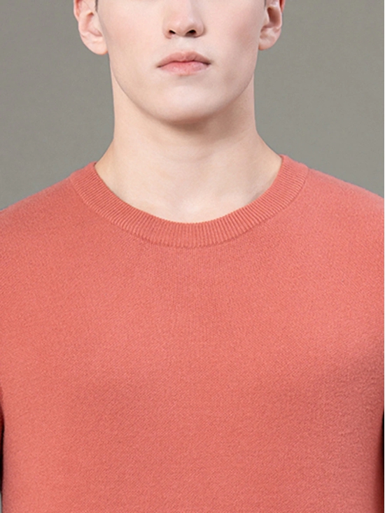 RedTape Round Neck Solid Sweater for Men | Essential Comfort for Every Day