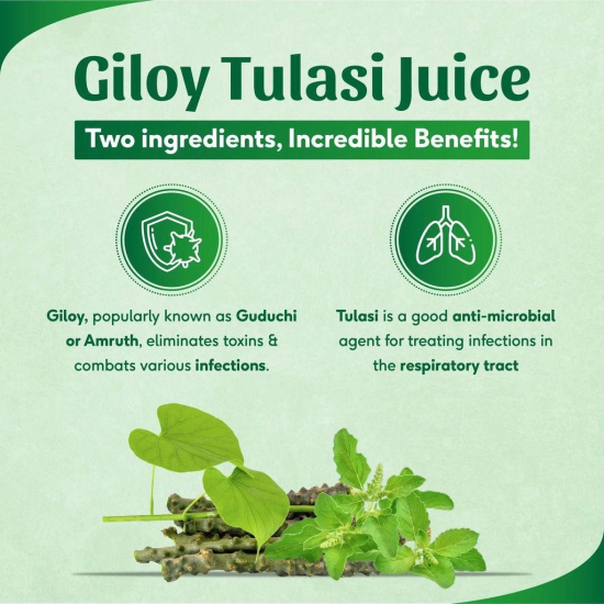 Sri Sri Tattva Giloy Tulasi Juice | 500ml