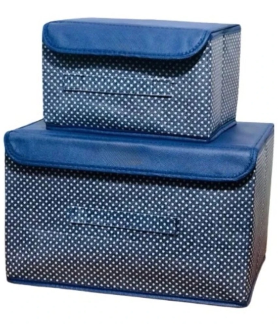 Sunesh creation - Foldable Non Woven Clothes Organisers Box (Pack of 2)