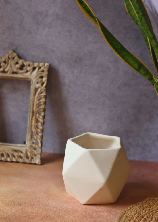 White Hexagon Planter