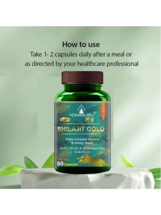 Shilajit Gold | Premium Vitality Ayurvedic Supplement for Men 60 CAPSULES