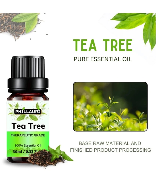 Phillauri Tea Tree Others Essential Oil Fruity With Dropper 30 mL ( Pack of 1 )