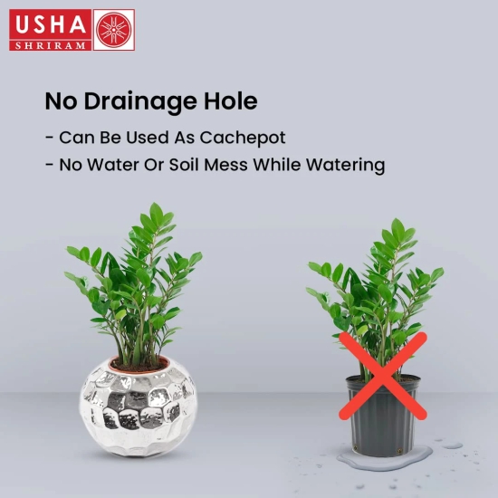 USHA SHRIRAM Stainless Steel Flower Pot, 6L, Rust Resistant, Sustainable Planter for Home, Office, Living Room, Indoor Plants.-USHA SHRIRAM Stainless Steel Flower Pot | 6L | Rust Resistant | Home