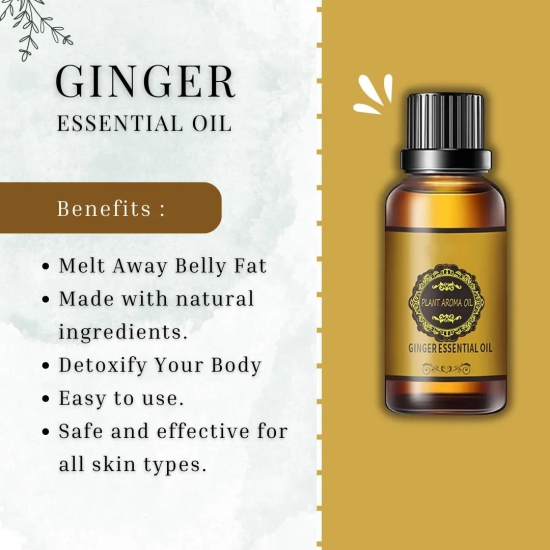 BELLY DRAINAGE GINGER ESSENTIAL OIL (60 DAYS PACK)-Buy 1 Get 1 Free (60 Days Pack)