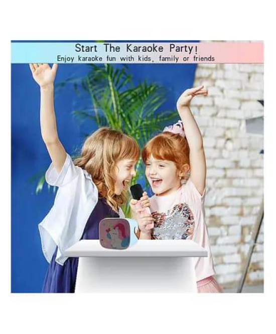 KARAOKE SPEAKER KIT