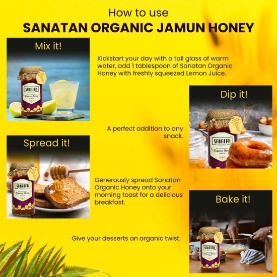 Sanatan Organic Monoflora Jamun Honey- 275 gms