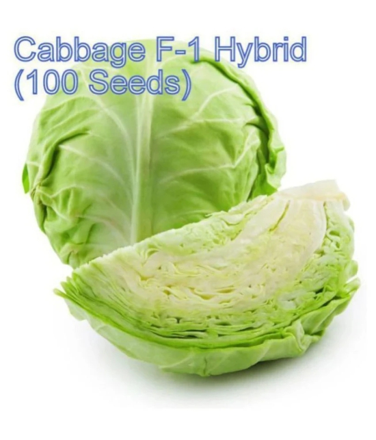 Super Saver Combo of 4 Hybrid Vegetables (Cabbage, Cauliflower, White Radish & Red Carrot) F1 HYBRID