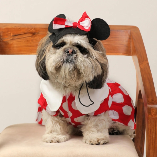 Dog Clothes| Pet Minnie Mouse Dress Costume | Sizes and Colours Available| Claws N Paws-XS