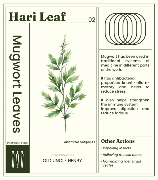 Hari Leaf Calm Blend - Mint