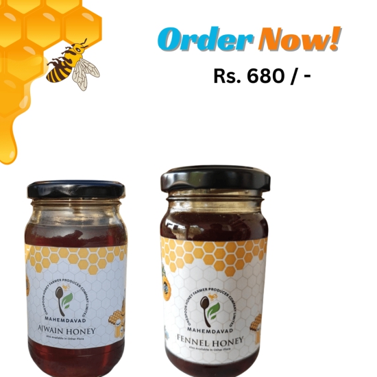 COMBO - AJWAIN HONEY + FENNEL HONEY | 500 GRAM EACH