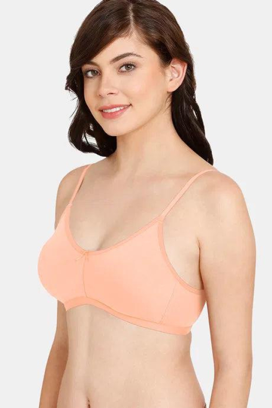 Zivame Rosaline Everyday Anti-Microbial Double Layered Non Wired 3/4th Coverage T-Shirt Bra ZI1885-36C / Black