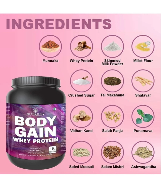 Nutriley Body Gain Whey Protein ( 500 gm , Vanilla - Flavour )