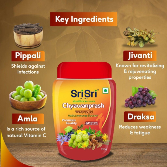 Sri Sri Tattva Chyawanprash - Herbal Immunity Booster, 250g