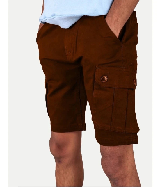 Radprix Brown Cotton Mens Cargos ( Pack of 1 ) - None