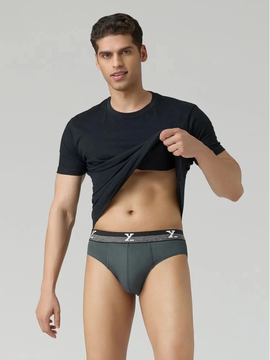 XYXX Pack of 1 Cotton Mens Briefs ( Grey ) - None