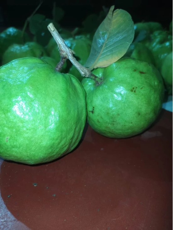 Guava