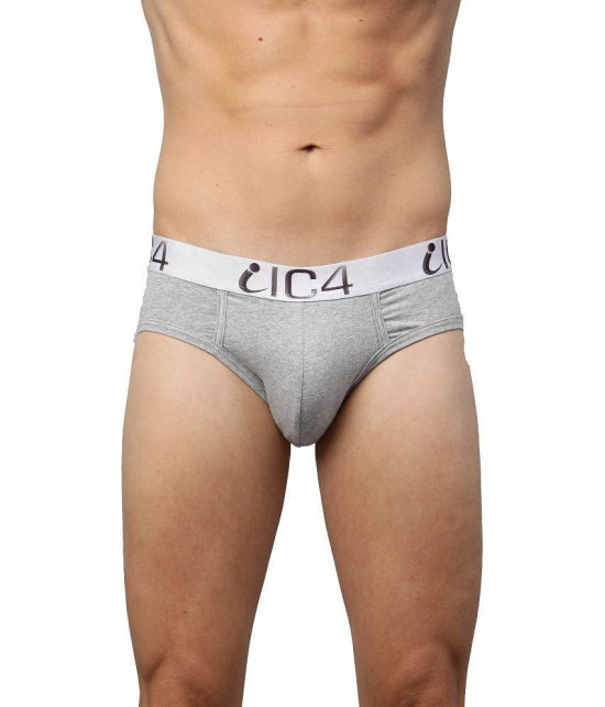 IC4 - Cotton Blend Multicolor Mens Briefs ( Pack of 2 ) - None