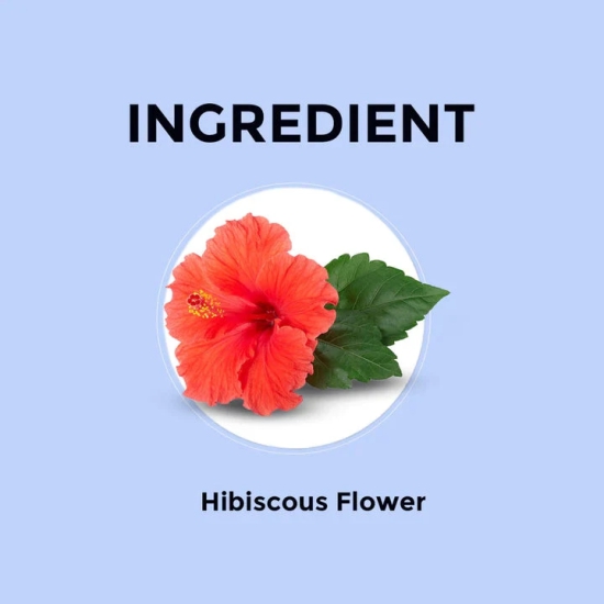 Hibiscus Herbal Infusion - 50g (Pack of 2)