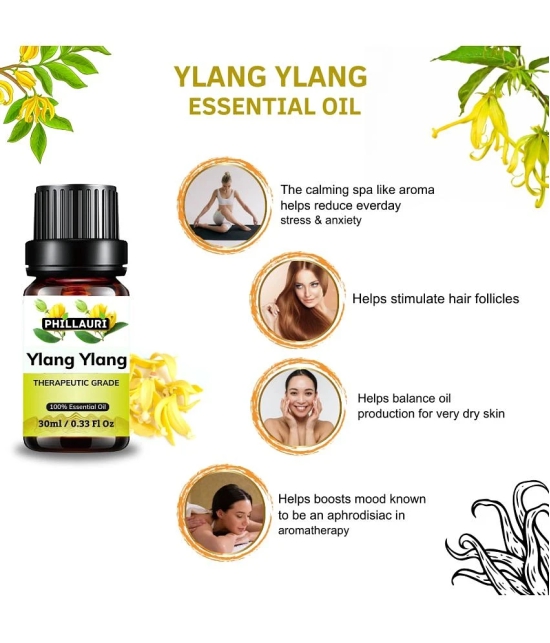 Phillauri Ylang-Ylang Others Essential Oil Fruity With Dropper 60 mL ( Pack of 2 )