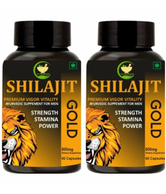 FIJ AYURVEDA Shilajit Gold Capsule Ayurvedic Shilajit for Men & Women - 800mg 60 Capsules (Pack of 2)