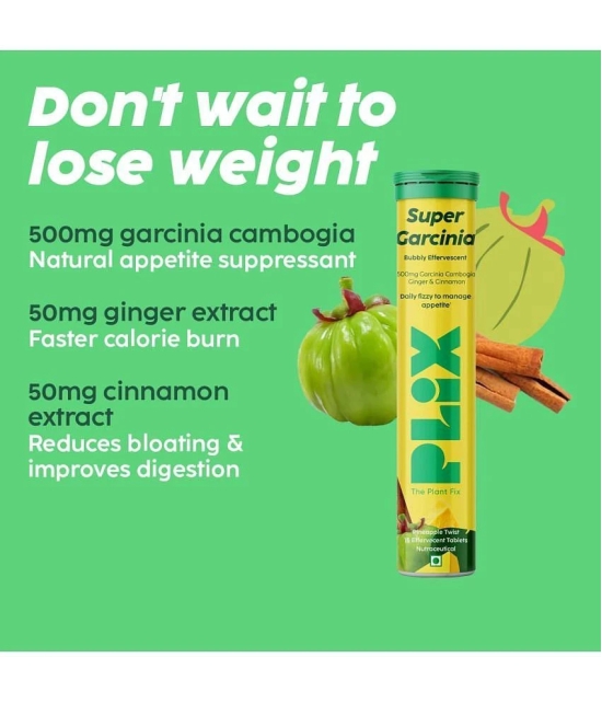 Plix Garcinia Cambogia Tablets For Weight Loss with ayurvedic herbs Ginger & Cinnamon(2 x 190 g)