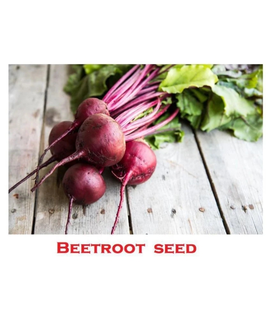 Beetroot Microgreens Organic Vegetable Seeds ( 50 Seeds per packet)