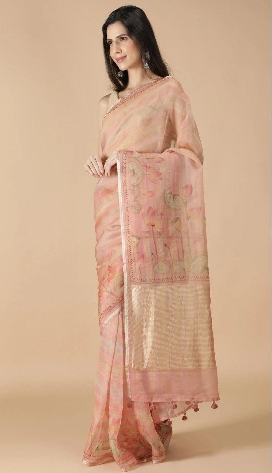 Organza Saree