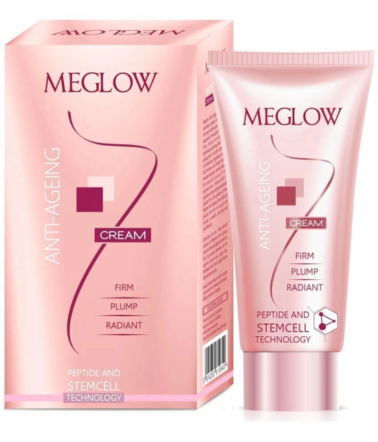 Meglow Day Cream All Skin Type Vitamin C ( 30 gm )