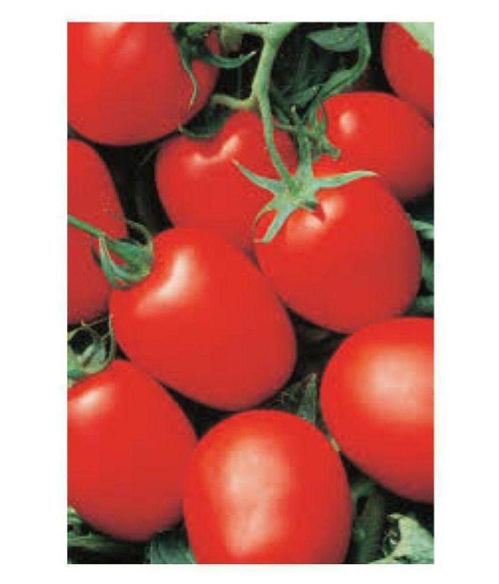 all natural tomato se.eds pack of 75