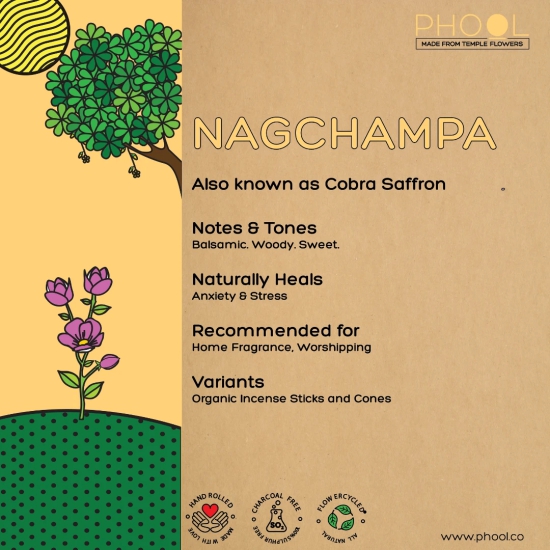 Phool Natural Incense Cones – Nagchampa