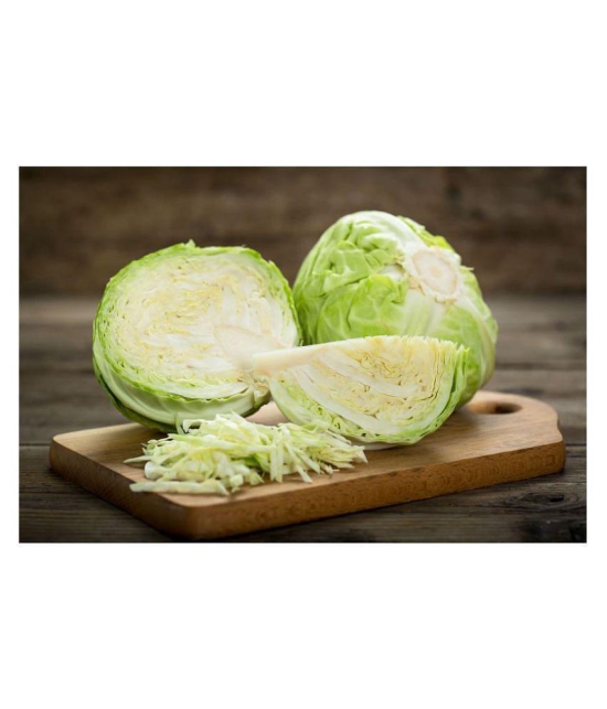 homeagro Cabbage hybrid Vegetable Seeds -  50 Seeds Pack