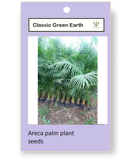 CLASSIC GREEN EARTH - Areca palm Plant ( 20 Seeds )