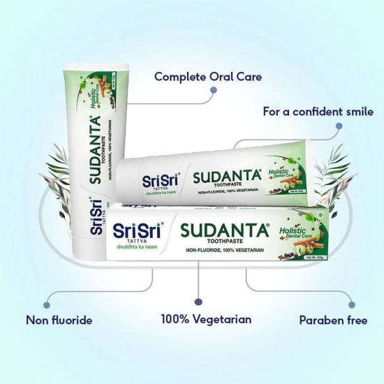 Sri Sri Tattva Sudanta Toothpaste -  Non - Fluoride - 100% Vegetarian, 200g (Bamboo Toothbrush Free)