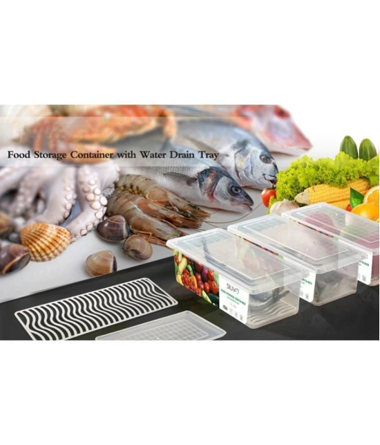 Food Storage Fridge Container For Fish,Meat,Egg And Vegetable Storage  1500 Ml Fish and Egg Plastic Food Container Set of 2 1500 mL - Transparent