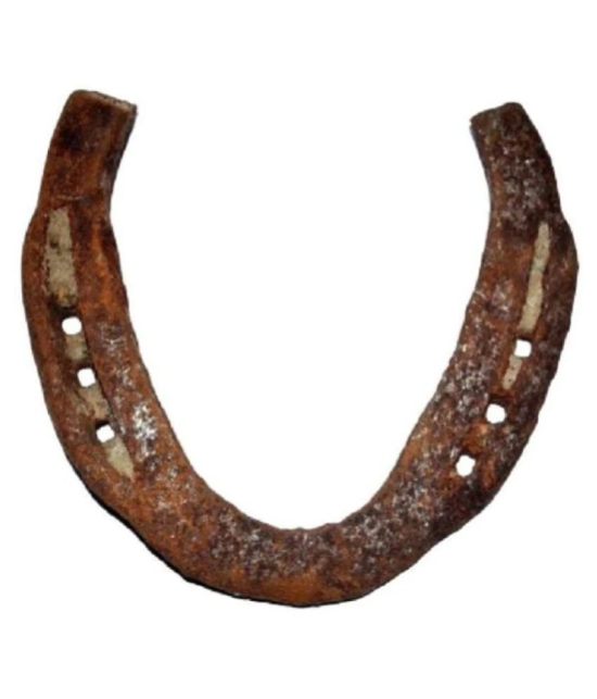 Original Kale Ghod Ki Naal/ Black Horse Shoe for Good Luck And Restrict Bad/Evil Energy