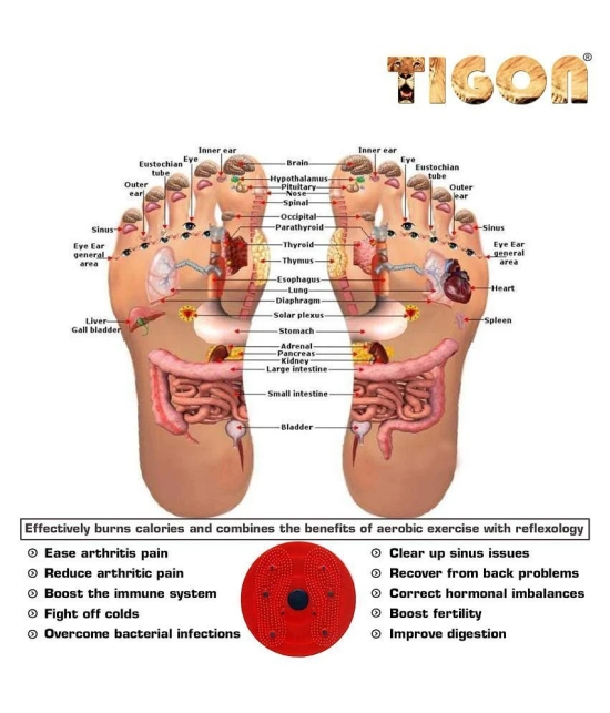 Tigon Tummy Twister Acupressure Twister (Magnets) Useful for Figure Tone-up Magnetic Twisting Machine Tummy Twister-Abdominal Trimmer-Waist Trimmer-Abs Exerciser-Body Toner-Fat Buster - Asso