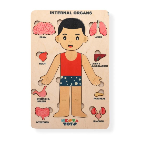 Human Body | Internal Organs Wooden Puzzle