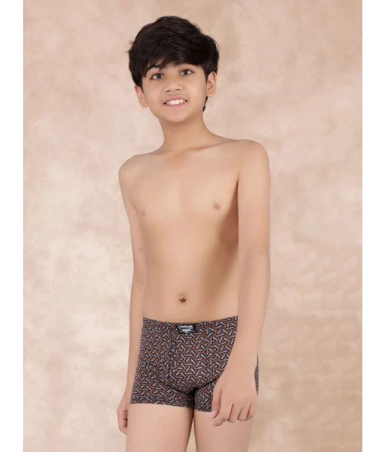 Pack of 3 Dollar Bigboss Cotton Blend Boys Trunks ( Multi Color ) MBKTR-10-CZYLNG-PO3-CO1 - None