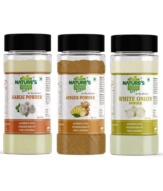 Natures Gift - 250 gm Onion Powder (Pack of 3)